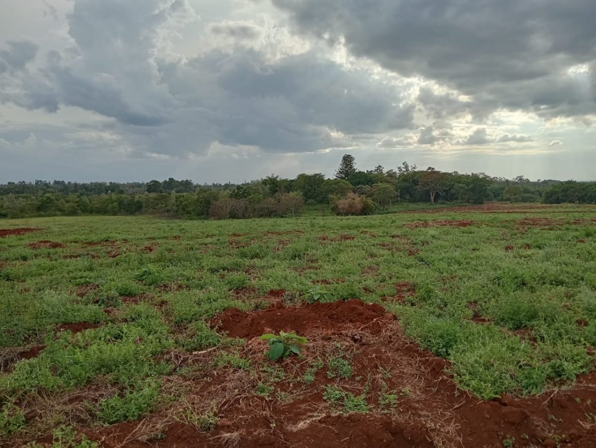 Baraka Gardens 50 by 100 Plots in Gatanga Mhasibu Housing Company Ltd