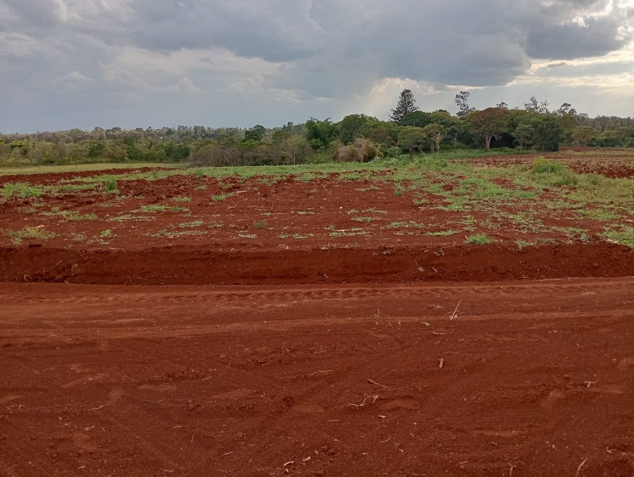 Baraka Gardens 50 by 100 Plots in Gatanga Mhasibu Housing Company Ltd