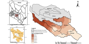 Mhasibu Housing Blog Kiambu vs Murang'a - Smart Investors' Choice